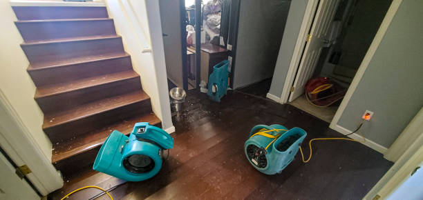 Best Flood restoration services  in Bridgman, MI