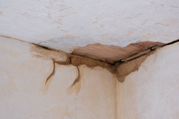 Best Water damage restoration near me  in Bridgman, MI