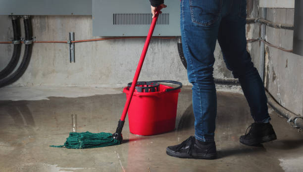 Best Commercial water damage restoration  in Bridgman, MI