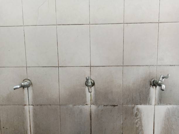 Best Water damage restoration near me  in Bridgman, MI